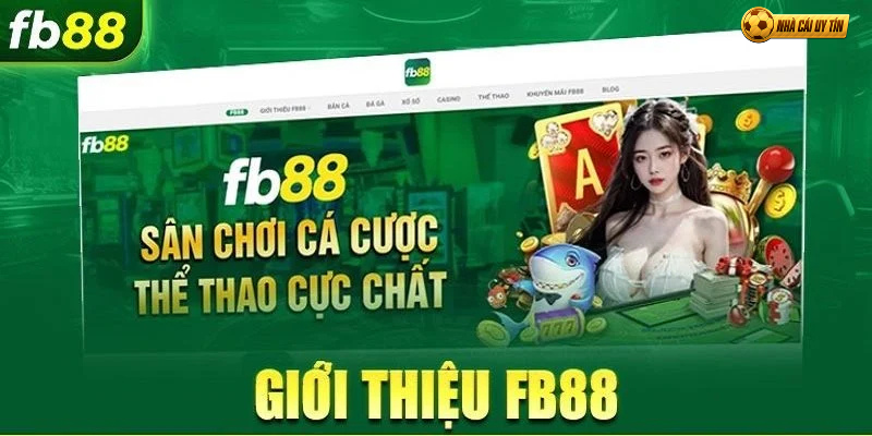 Khám Phá Toàn Diện Về FB88 - Trang Web Cá Cược Được Tin Cậy Nhất Hiện Nay 3 Khám Phá Toàn Diện Về FB88 - Trang Web Cá Cược Được Tin Cậy Nhất Hiện Nay 3
